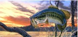 РЫБОЛОВНЫЙ ПОДАРОЧНЫЙ СЕРТИФИКАТ на 500 рублей - Интернет-магазин товаров для рыбалки «Академiя Рыбалки»